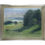 Heinrich Ohlwein (1898-1969), landscape painter active in Kassel, Sommertag am Brasselsberg, oil
