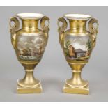 A pair of ornamental vases with swan handles, France, 19th century, polychrome painting with