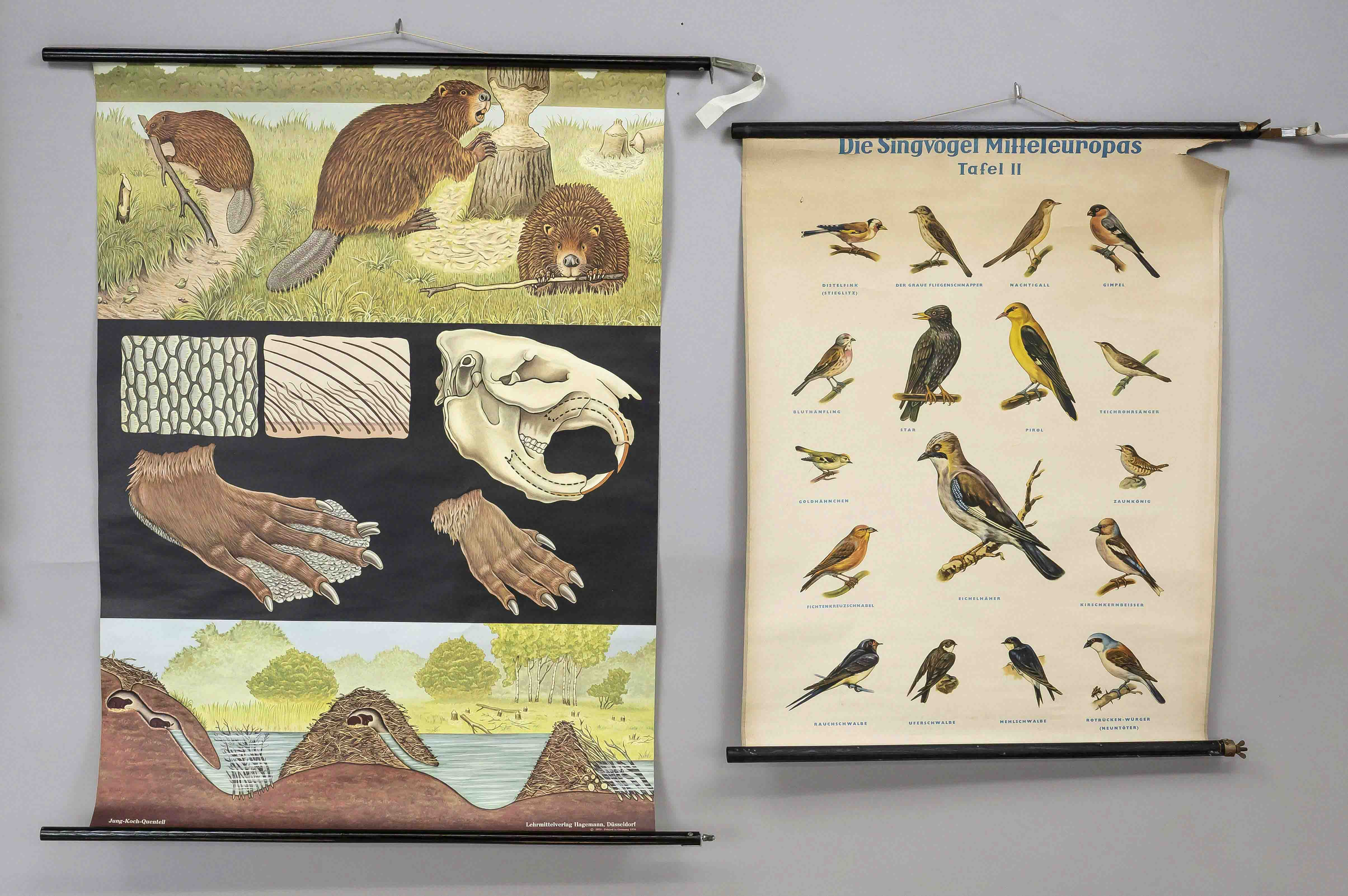 2 display cards (teaching aids), mid-20th century, polychrome, signs of use and age, up to 115 x