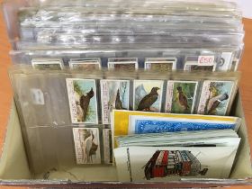 CIGARETTE CARDS: BOX WITH APPROX 19 SETS INCLUDING OGDEN BRITISH BIRDS (1st AND 2nd),