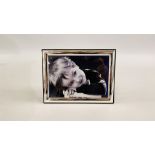 A SILVER PHOTO FRAME, SHEFFIELD ASSAY - W 15CM X H 20CM.