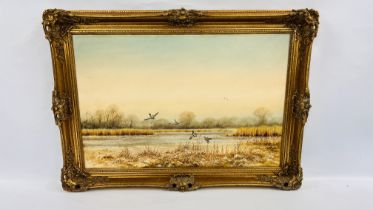 AN ORIGINAL GILT FRAMED OIL ON CANVAS MALLARD DUCKS TAKING OFF BEARING SIGNATURE ROWES CHAPMAN 75CM