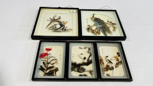 FIVE FRAMED THREE DIMENSIONAL FEATHER CRAFT BIRD PICTURES (3 - 23 X 15CM, 2 - 29 X 29CM).