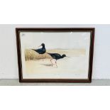 A GROUP OF 9 FRAMED AND MOUNTED LIMITED EDITION ORNITHOLOGY PRINTS (ALL 327/500) VARIOUS ARTISTS
