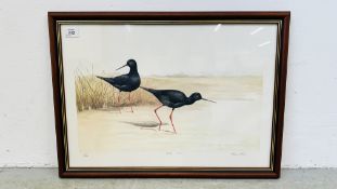 A GROUP OF 9 FRAMED AND MOUNTED LIMITED EDITION ORNITHOLOGY PRINTS (ALL 327/500) VARIOUS ARTISTS