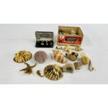 A BOX OF SHELLS AND VARIOUS ARTIFACTS ETC.