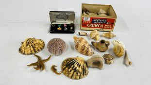A BOX OF SHELLS AND VARIOUS ARTIFACTS ETC.