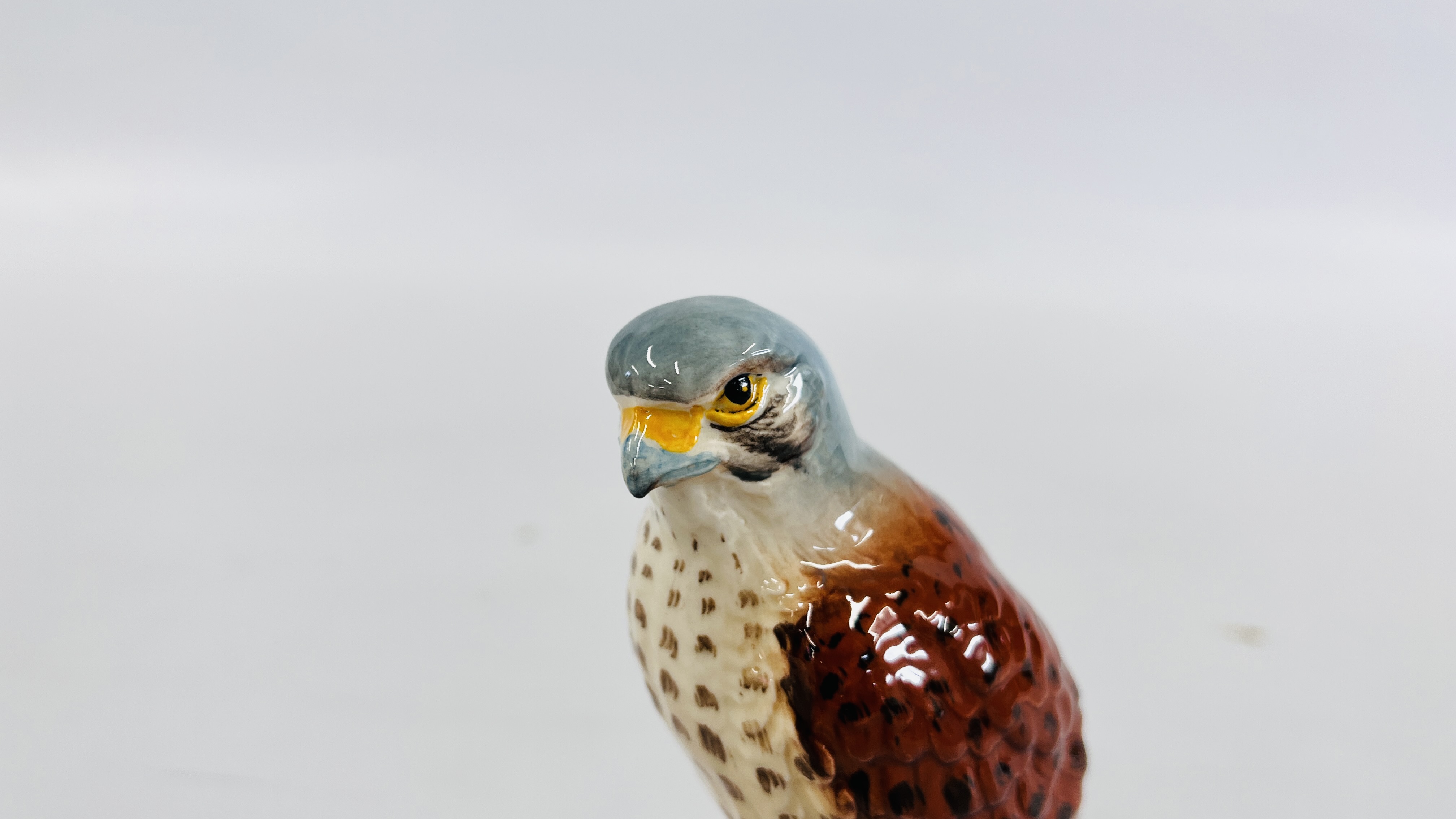 A BESWICK KESTREL FIGURE 2316 GLOSS FINISH - H 15.5CM. - Image 2 of 7