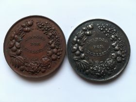 MEDALS: TOOGOOD & SONS SOUTHAMPTON BRONZE AND SILVER MEDALS 'AWARDED FOR EXCELLENCE' NAMED TO G.