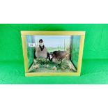 A TAXIDERMY STUDY OF TWO MOUNTED PARTRIDGES