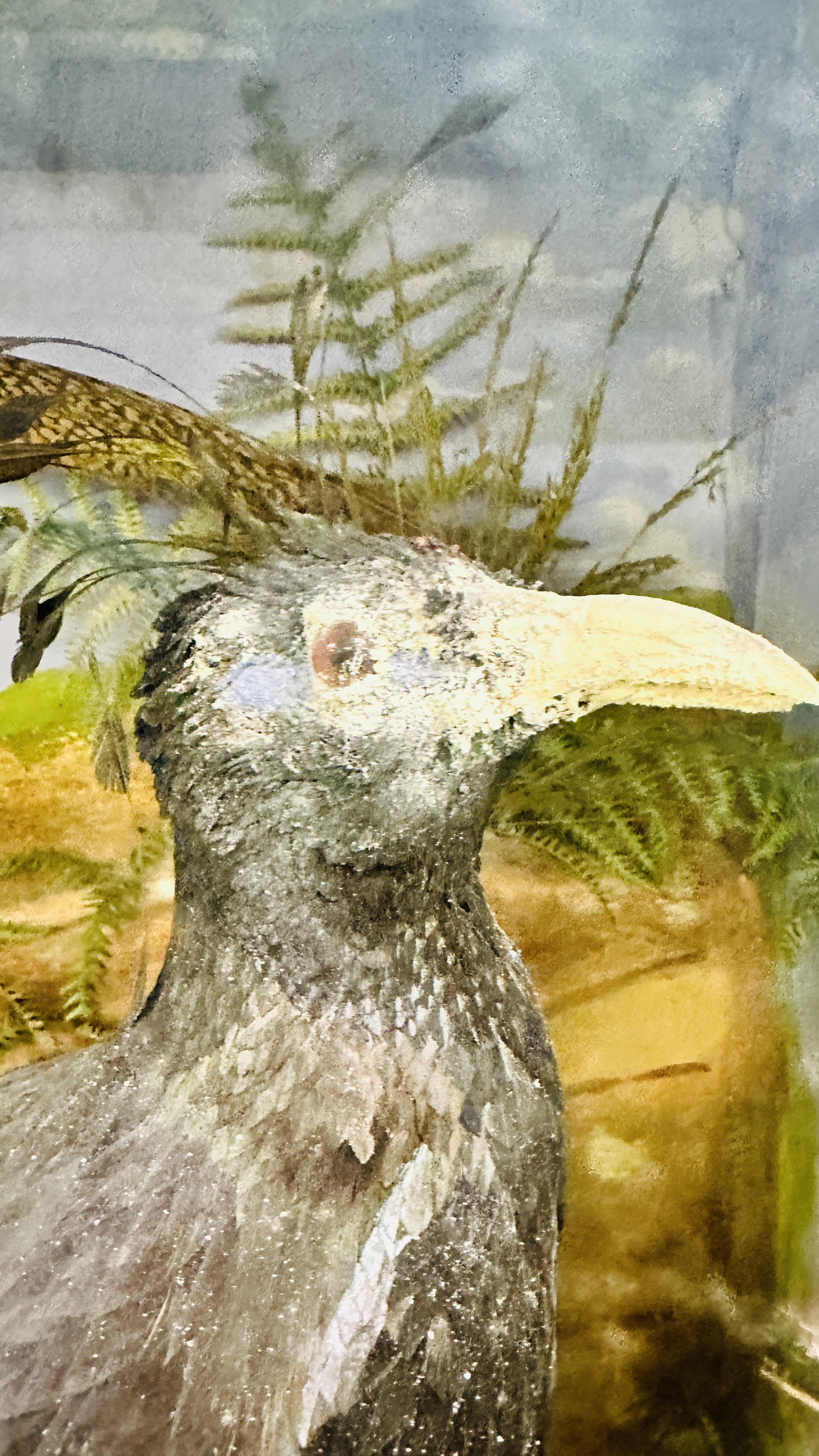 A VICTORIAN CASED TAXIDERMY STUDY OF MULTIPLE BIRDS INCLUDING SNIPE, KINGFISHERS AND GAME BIRDS, - Image 8 of 12