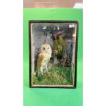 A VICTORIAN CASED TAXIDERMY STUDY OF A BARN OWL AND GREEN WOODPECKER,