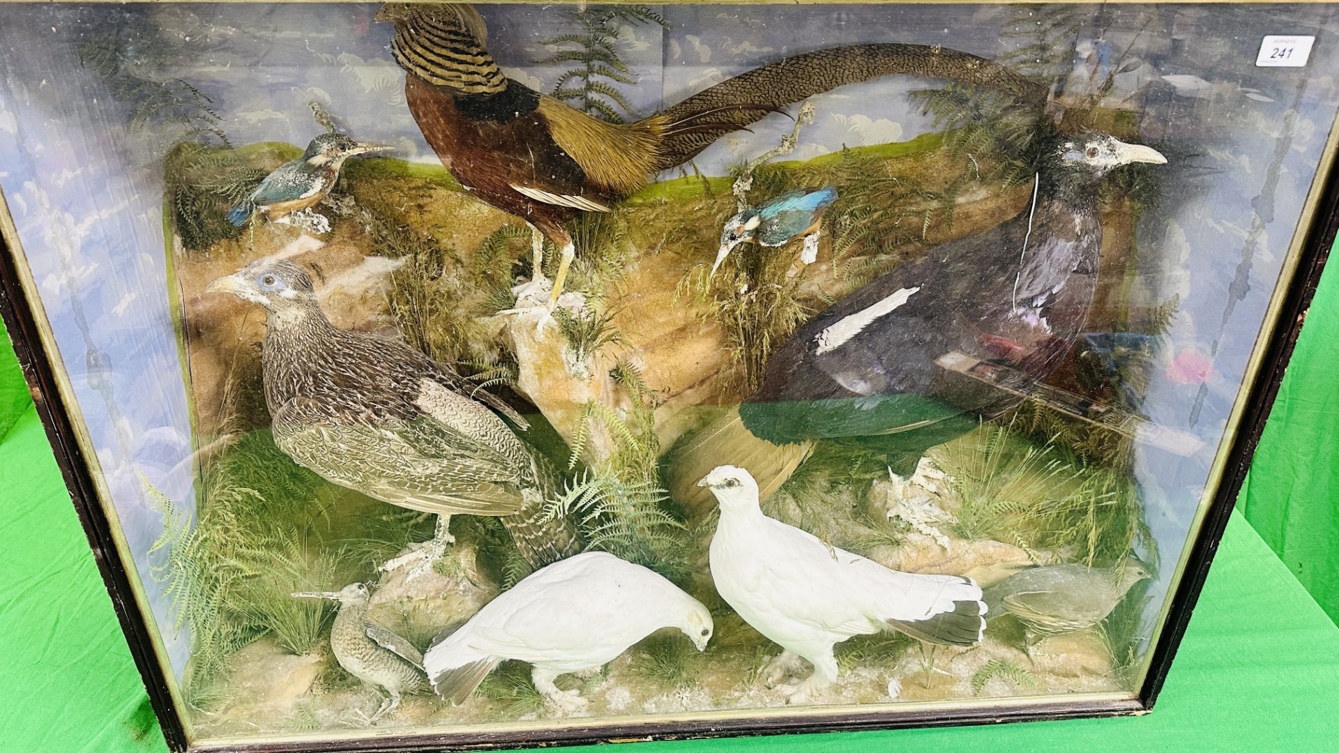 A VICTORIAN CASED TAXIDERMY STUDY OF MULTIPLE BIRDS INCLUDING SNIPE, KINGFISHERS AND GAME BIRDS, - Image 11 of 12