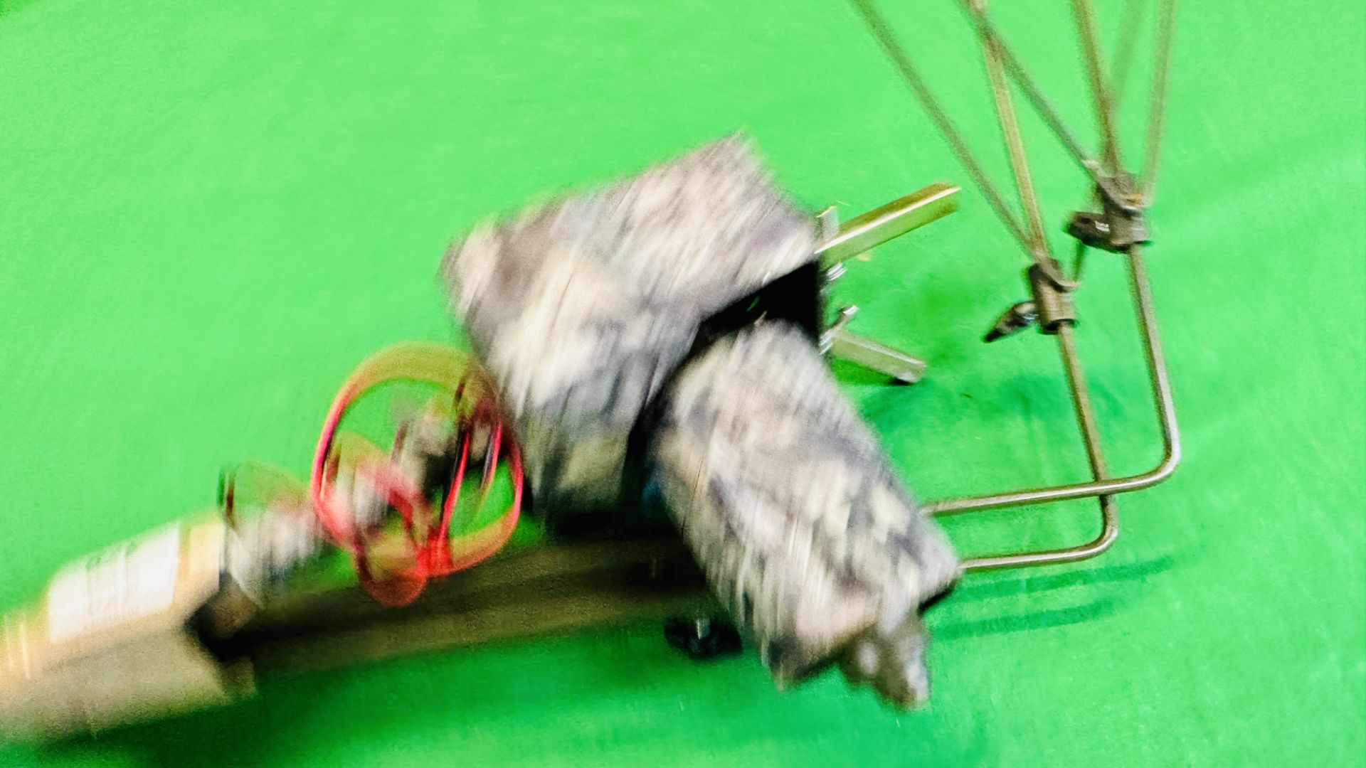 AN ELECTRIC ROTARY DECOY PIGEON MAGNET. - Bild 5 aus 9