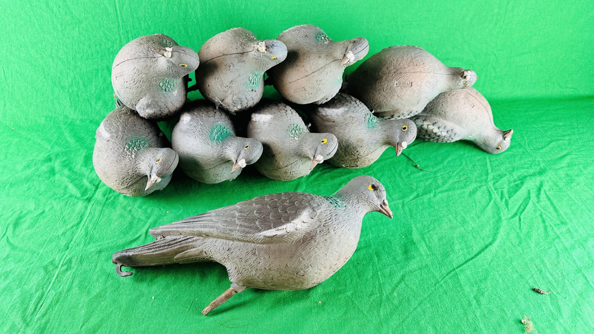 A COLLECTION OF 10 DECOY PIGEONS