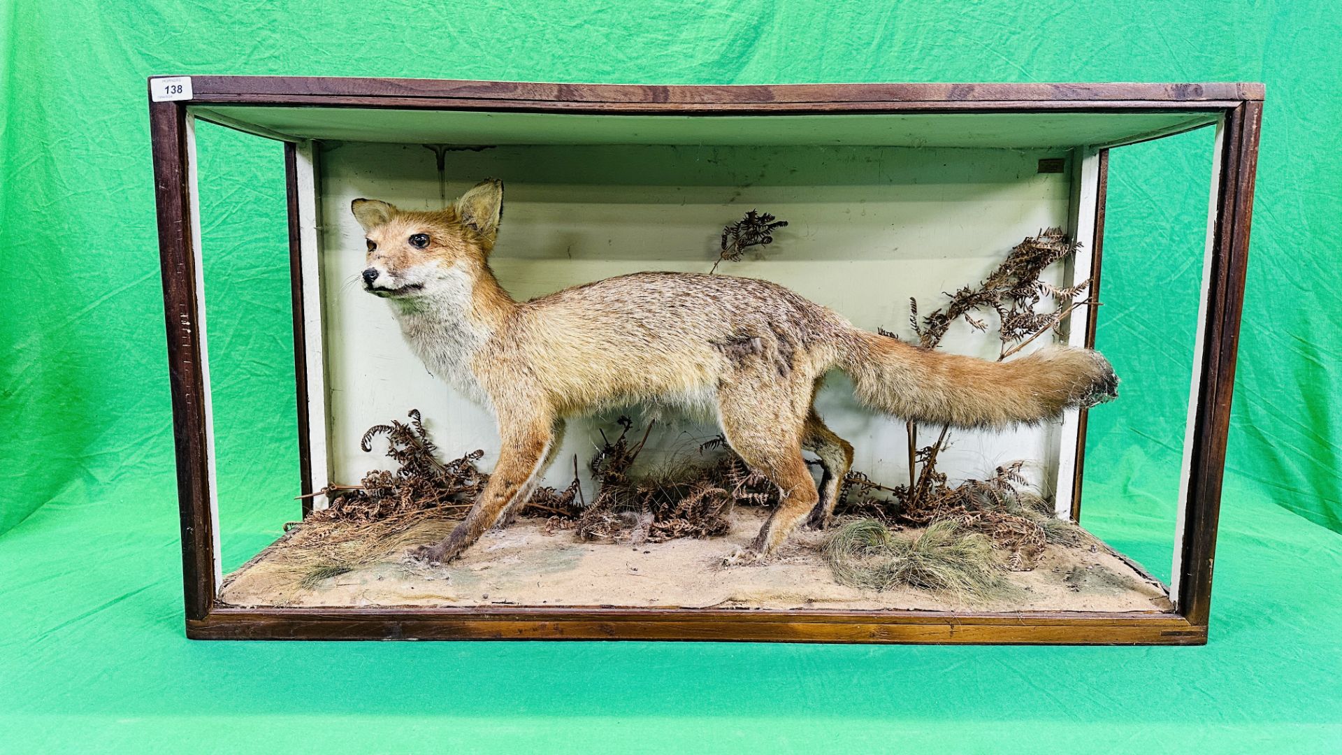 A VICTORIAN CASED TAXIDERMY STUDY OF A FOX, IN A NATURALISTIC SETTING - W 107CM X H 57CM X D 35.