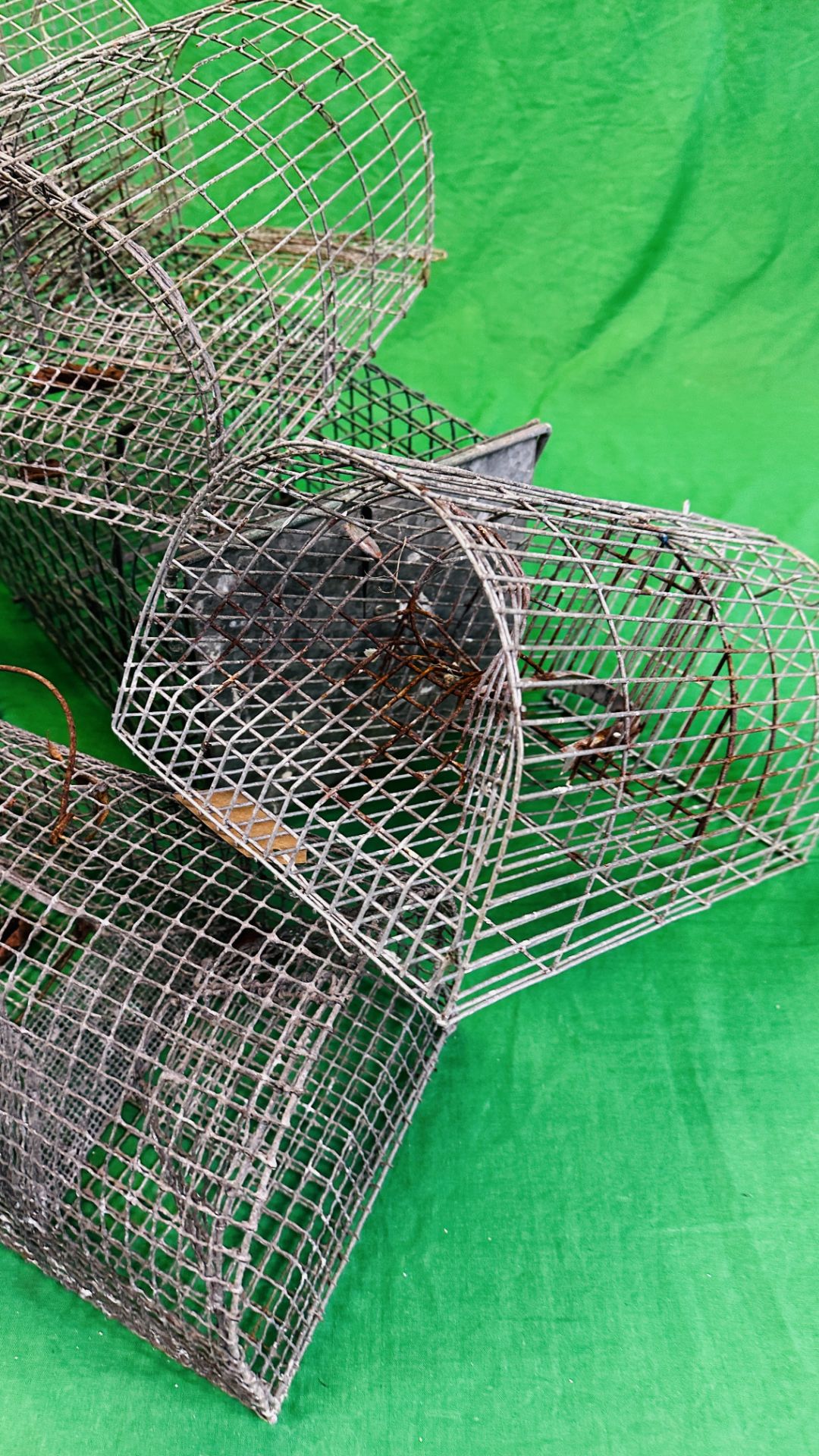 A GROUP OF FIVE HUMANE TRAPS - Image 3 of 8