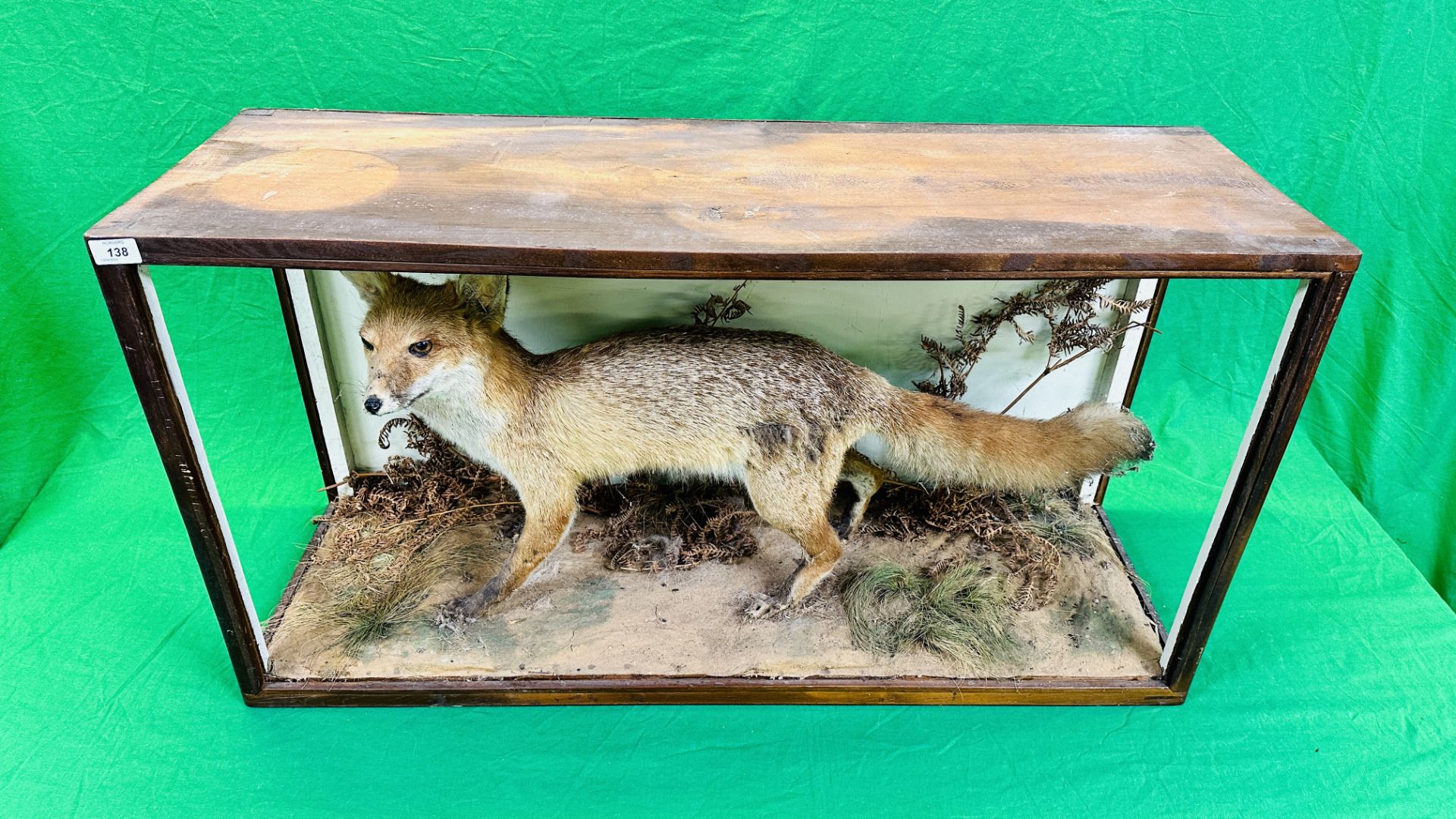 A VICTORIAN CASED TAXIDERMY STUDY OF A FOX, IN A NATURALISTIC SETTING - W 107CM X H 57CM X D 35. - Image 5 of 7