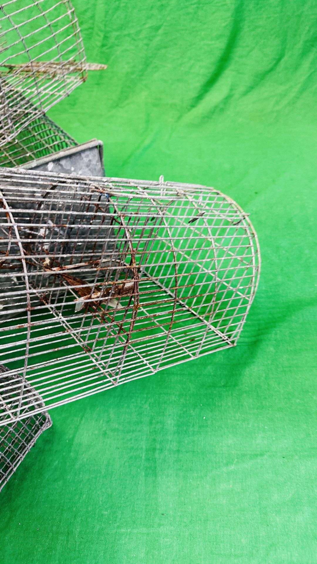 A GROUP OF FIVE HUMANE TRAPS - Image 4 of 8