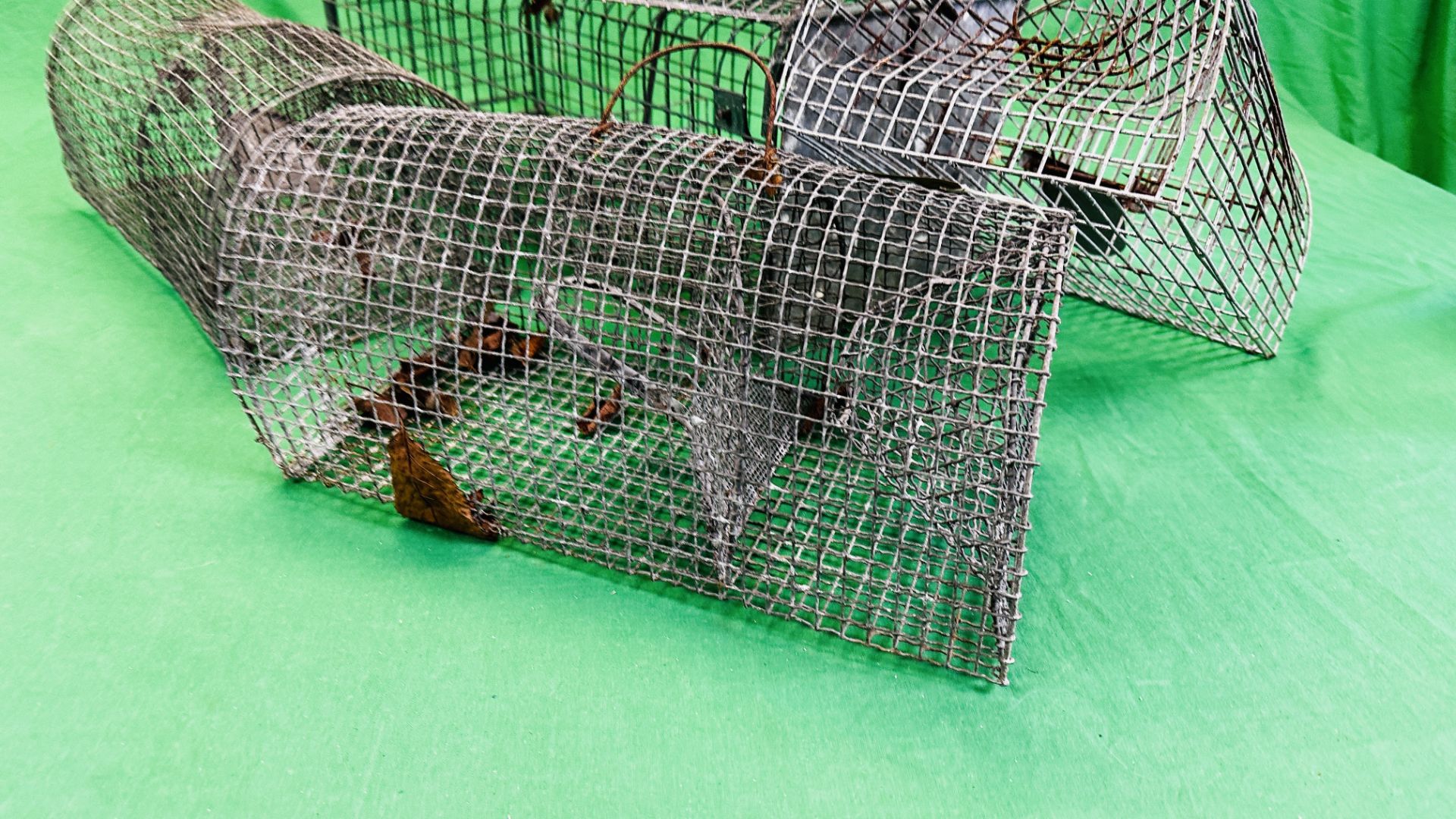 A GROUP OF FIVE HUMANE TRAPS - Image 2 of 8
