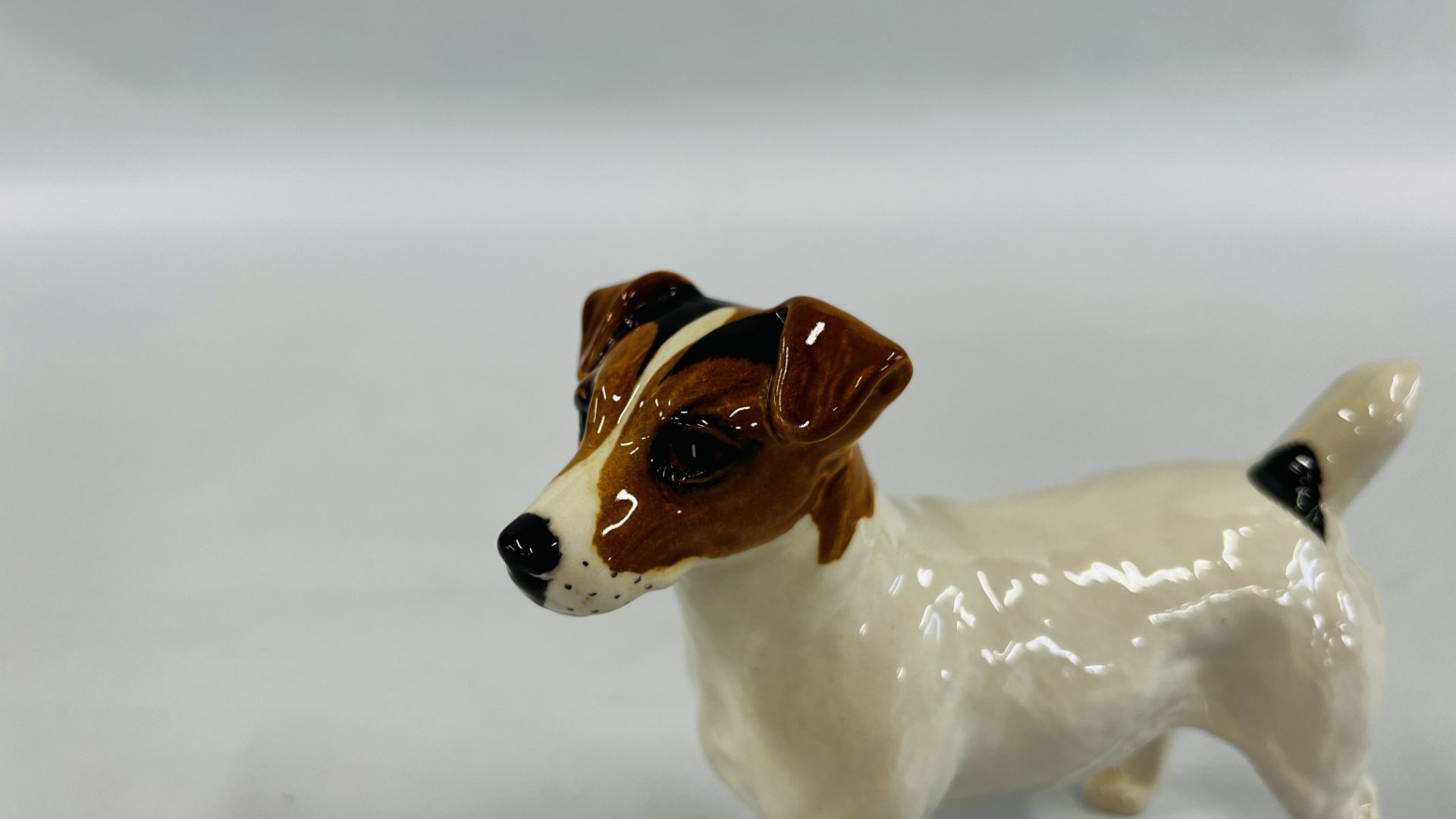 A BESWICK MODEL OF A JACK RUSSELL TERRIER L 15.5CM X H 11. - Image 3 of 14