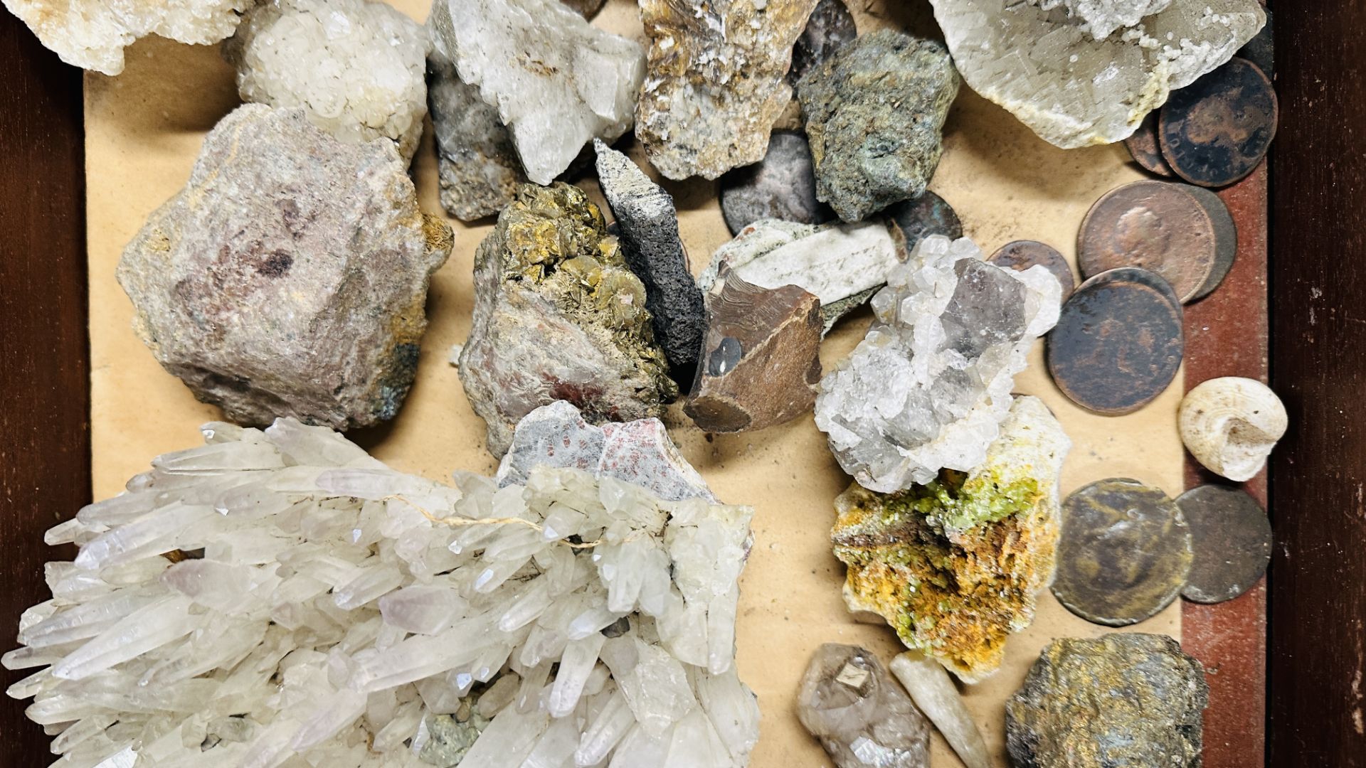 TABLE TOP DISPLAY CASE CONTAINING COLLECTION OF CRYSTAL AND ROCK SPECIMENS. - Bild 3 aus 9