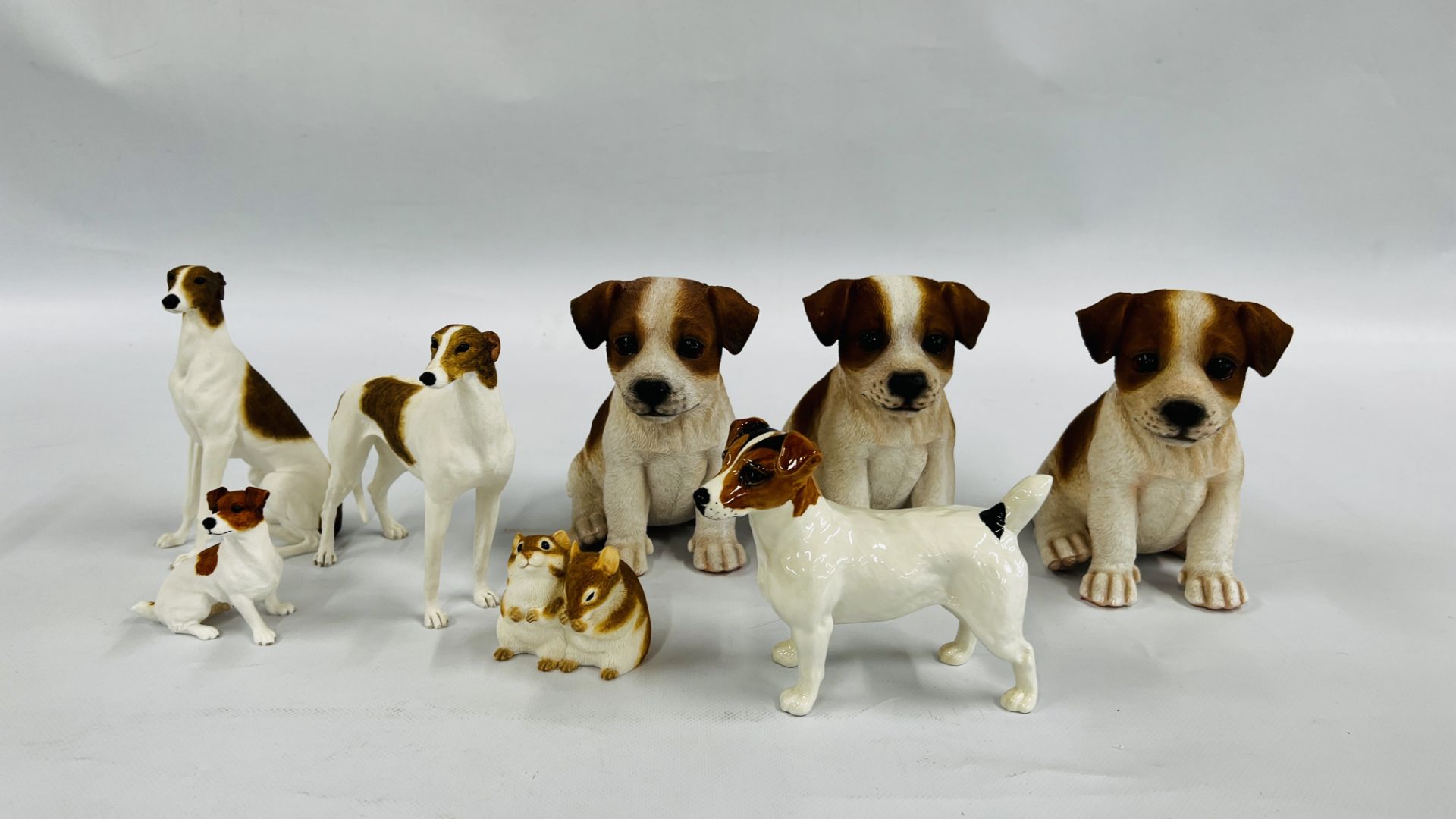A BESWICK MODEL OF A JACK RUSSELL TERRIER L 15.5CM X H 11.