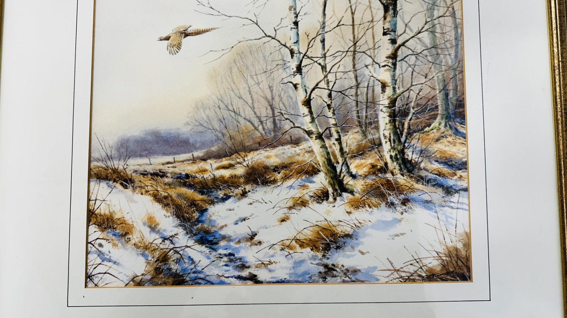 AN ORIGINAL WATERCOLOUR OF PHEASANTS FLYING THROUGH A WINTER WOODLAND BEARING SIGNATURE S.T. - Image 5 of 6
