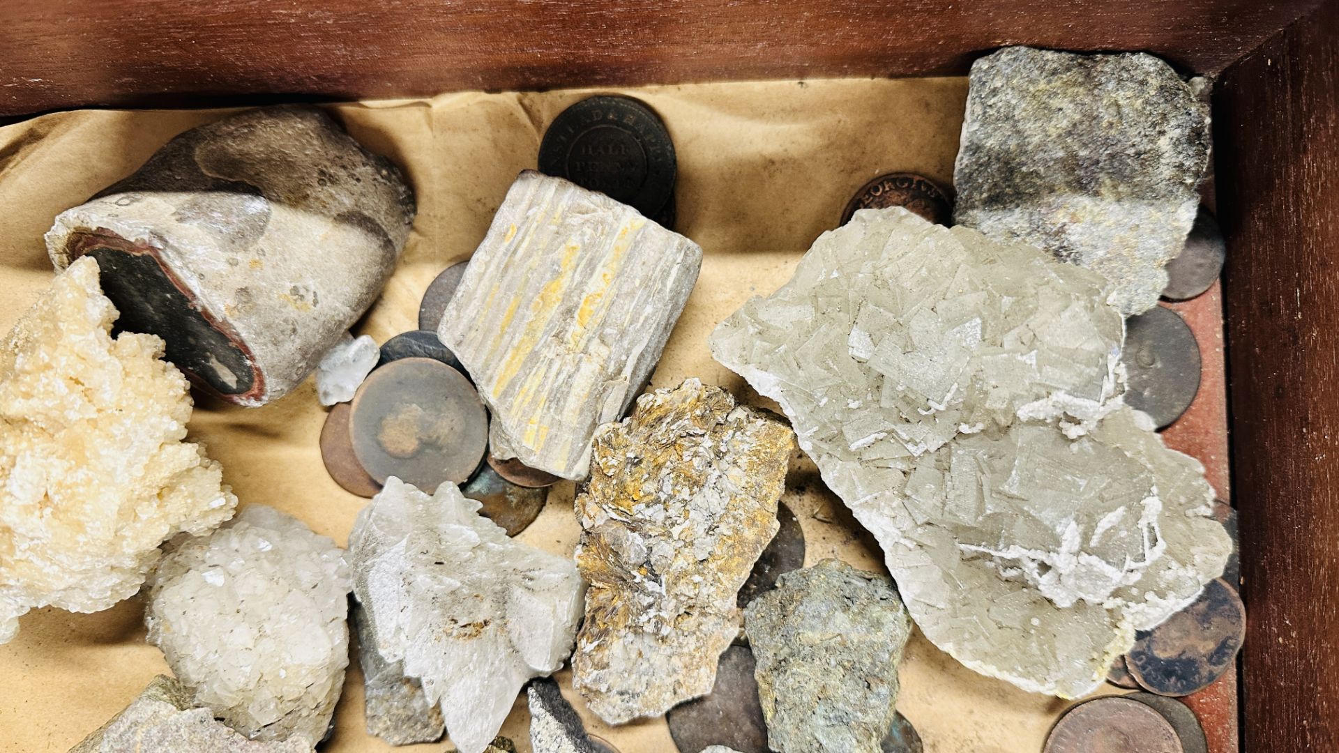 TABLE TOP DISPLAY CASE CONTAINING COLLECTION OF CRYSTAL AND ROCK SPECIMENS. - Bild 2 aus 9