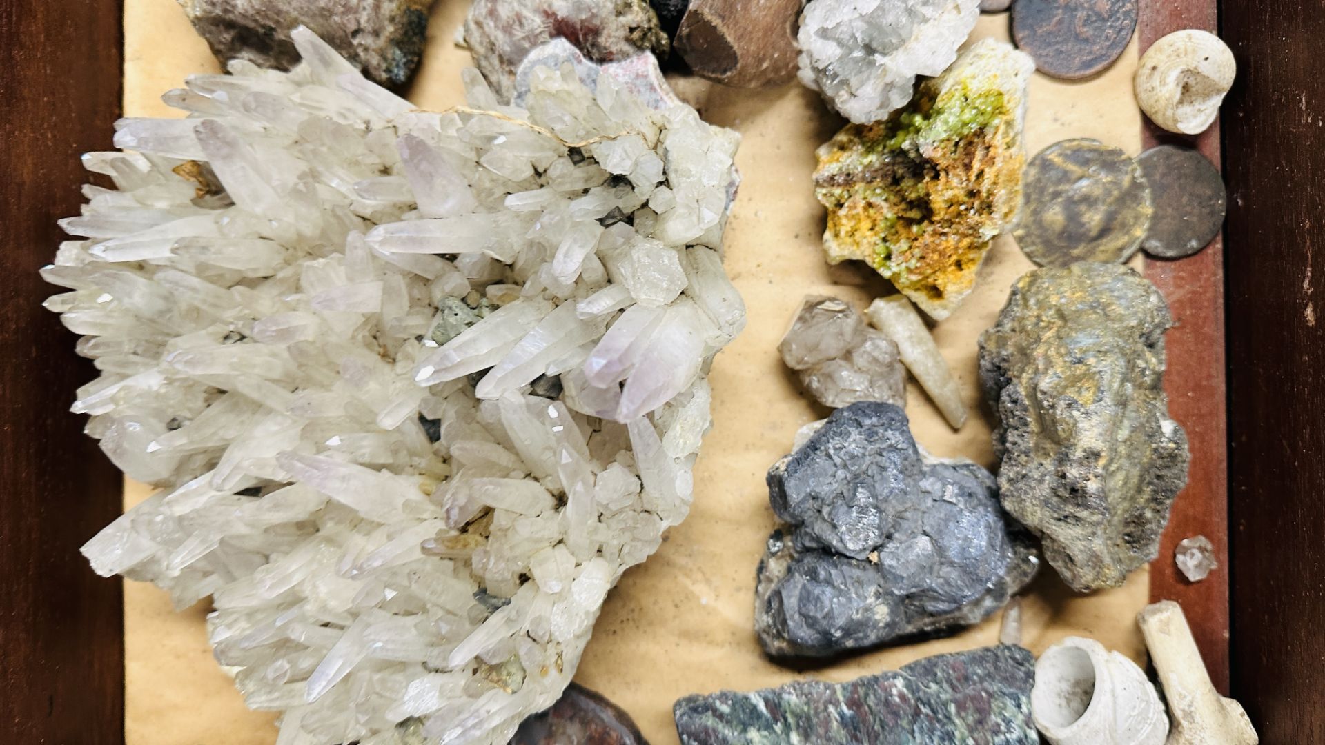 TABLE TOP DISPLAY CASE CONTAINING COLLECTION OF CRYSTAL AND ROCK SPECIMENS. - Bild 4 aus 9