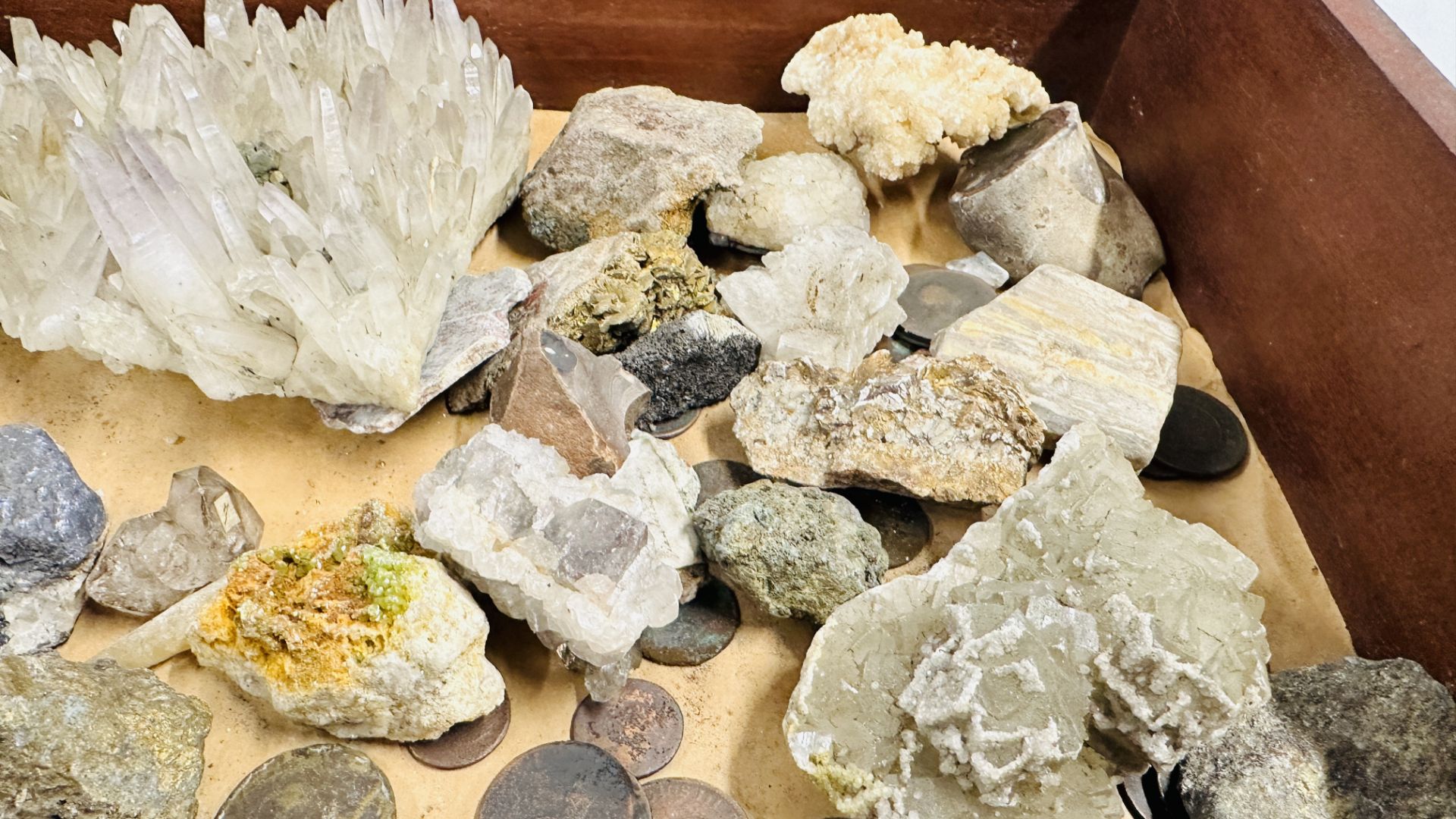 TABLE TOP DISPLAY CASE CONTAINING COLLECTION OF CRYSTAL AND ROCK SPECIMENS. - Bild 9 aus 9