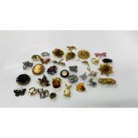 32 BROOCHES TO INCLUDE BUTTERFLIES, DRAGONFLIES, WINNIE THE POOH, STONE SET ETC.