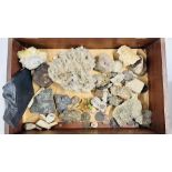 TABLE TOP DISPLAY CASE CONTAINING COLLECTION OF CRYSTAL AND ROCK SPECIMENS.