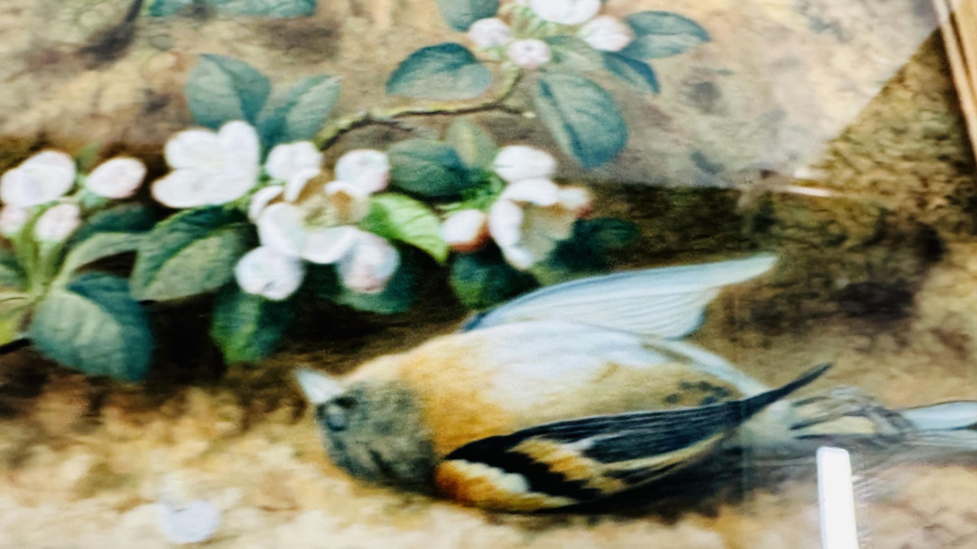 A FRAMED & GLAZED PAINTING BEARING SIGNATURE E.M. STANNARD, DATED 1871. W 29 X H 20CM. - Image 3 of 5