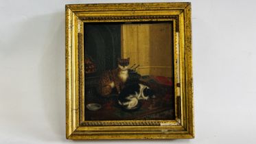 "MISS COLEBY'S CATS" OIL ON PANEL BEARING SIGNATURE WALSTAN GRANT 1870 - 14.5 X 13.5CM.