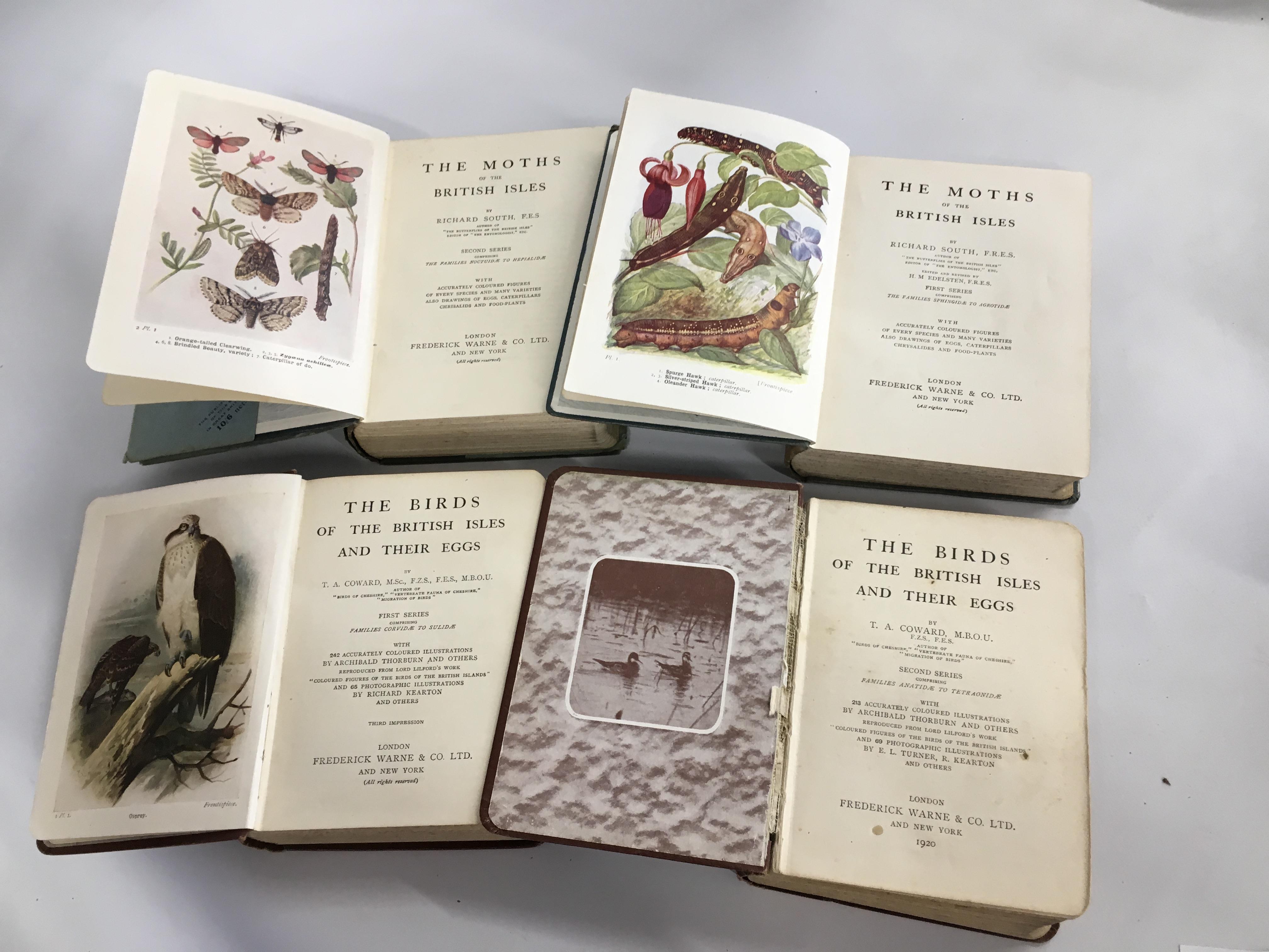 Small collection of 20th Century natural history books most published by Warne: Moths of the - Image 2 of 6