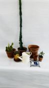 A GROUP OF 3 SUCCULENTS, A MONEY PLANT, METAL WATERING CAN, TERRACOTTA POTS ETC.