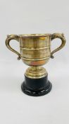 A SILVER TWO HANDLED TROPHY CUP INSCRIBED HICKLING GUN CLUB,