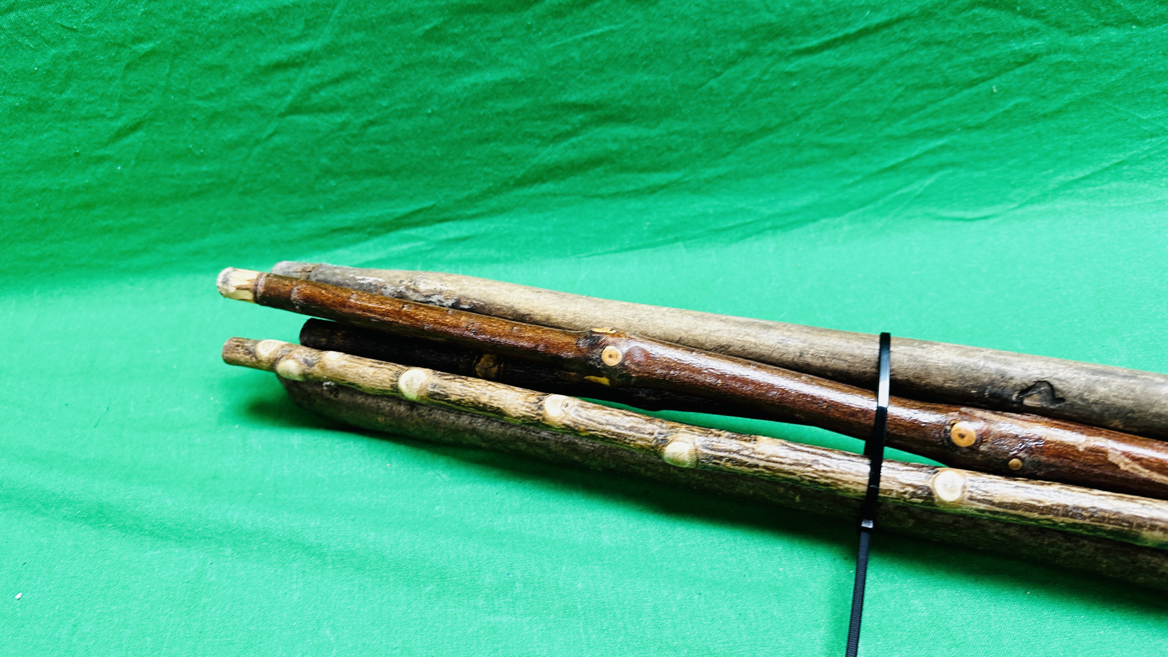 A GROUP OF FIVE VARIOUS WALKING AND SHOOTING STICKS INCLUDING HORN HANDLED CARVED, ETC. - Image 7 of 12