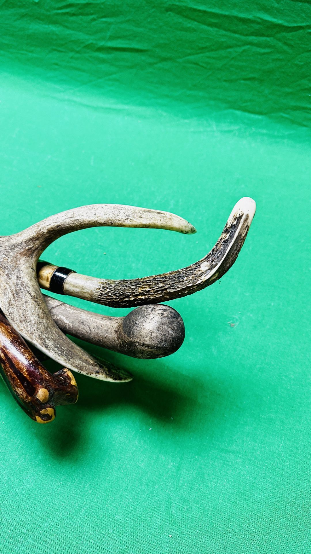 A GROUP OF FIVE VARIOUS WALKING AND SHOOTING STICKS INCLUDING HORN HANDLED CARVED, ETC. - Image 9 of 12