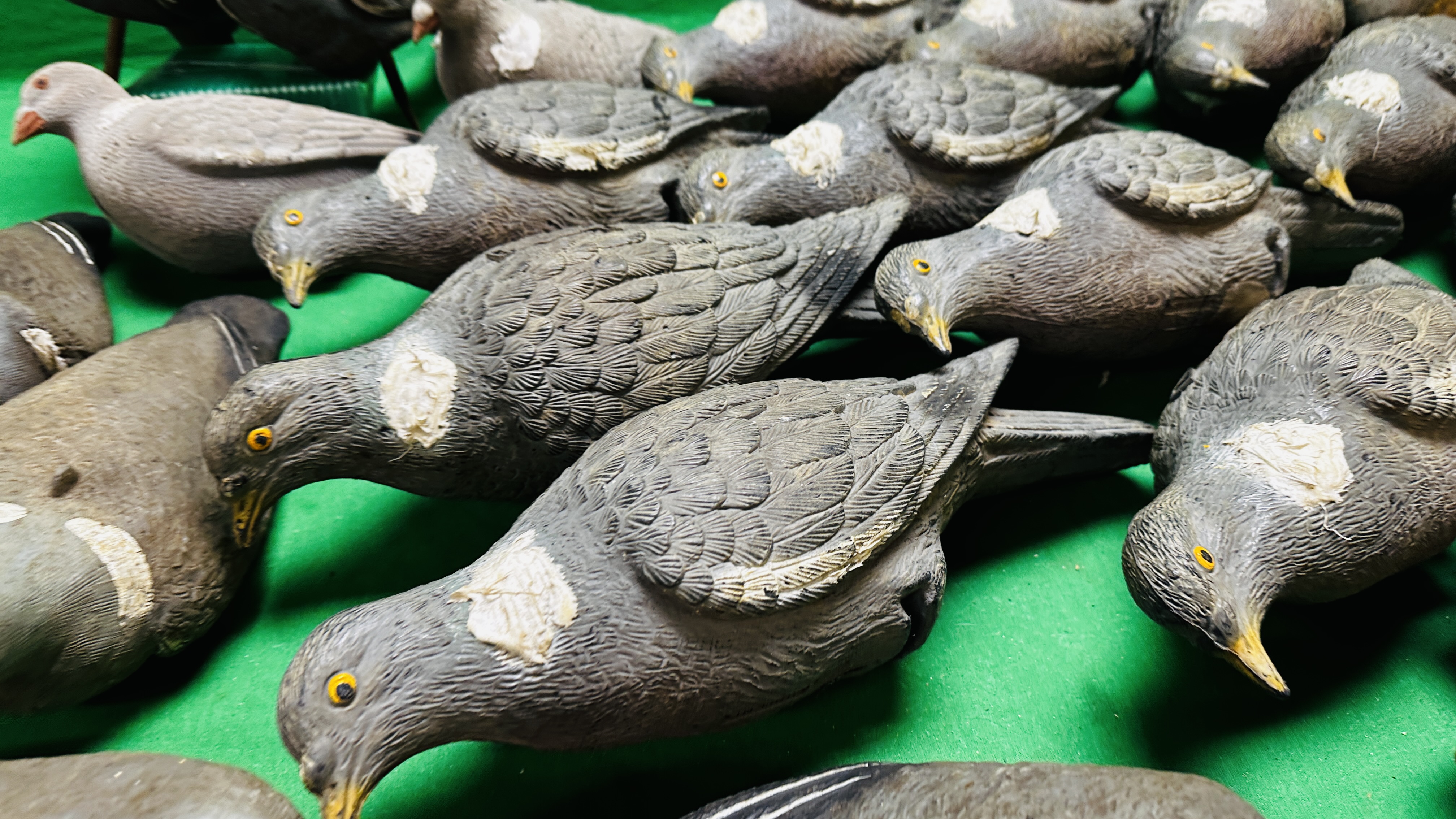 A GROUP OF 26 PIGEON DECOYS. - Image 3 of 10