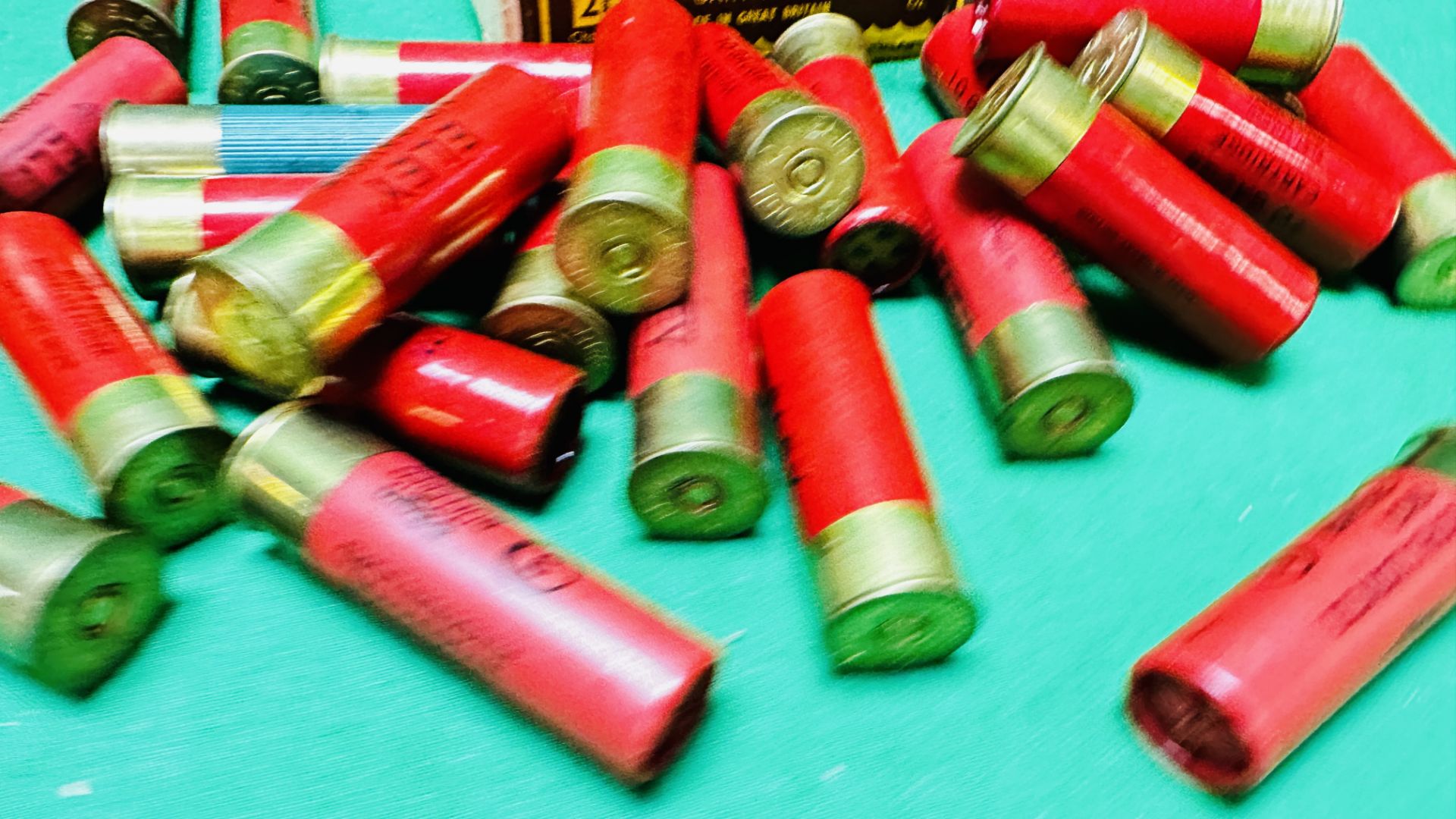 A COLLECTION OF 10 BORE CARTRIDGES - (TO BE COLLECTED IN PERSON BY LICENCE HOLDER ONLY - NO POSTAGE - Image 6 of 8