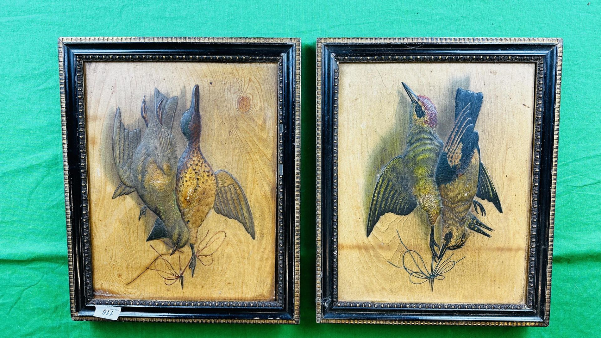 TWO c.1900 EMBOSSED CARD STUDIES OF HANGING BIRDS, EACH 35.5 X 28CM.