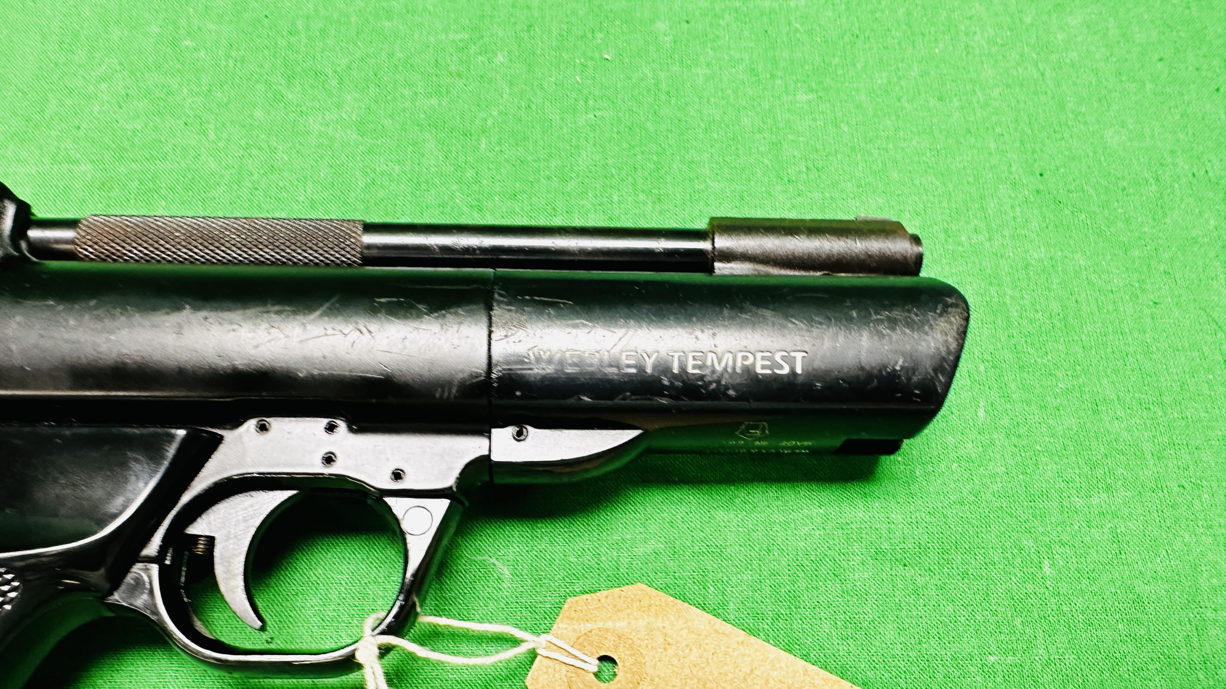 WEBLEY & SCOTT/WEBLEY TEMPEST . - Bild 10 aus 15