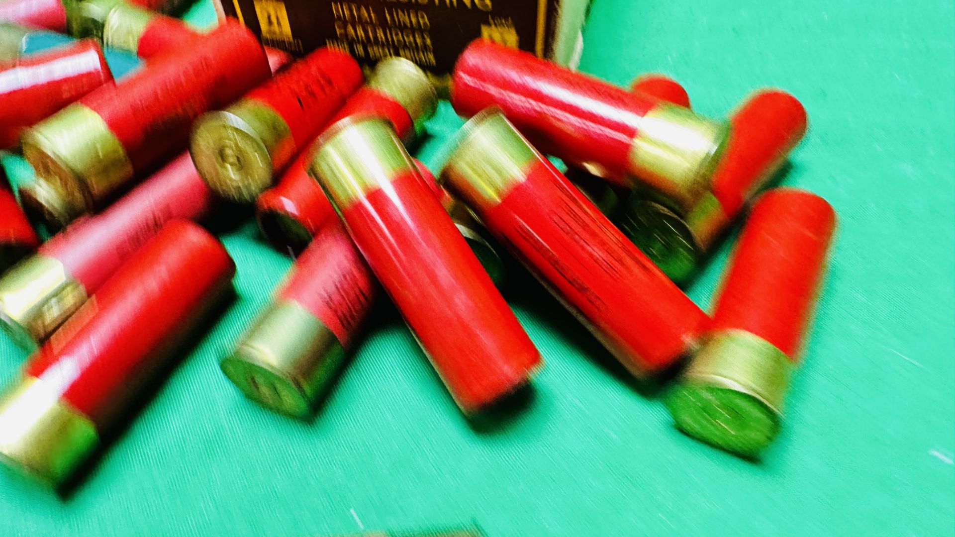 A COLLECTION OF 10 BORE CARTRIDGES - (TO BE COLLECTED IN PERSON BY LICENCE HOLDER ONLY - NO POSTAGE - Image 5 of 8