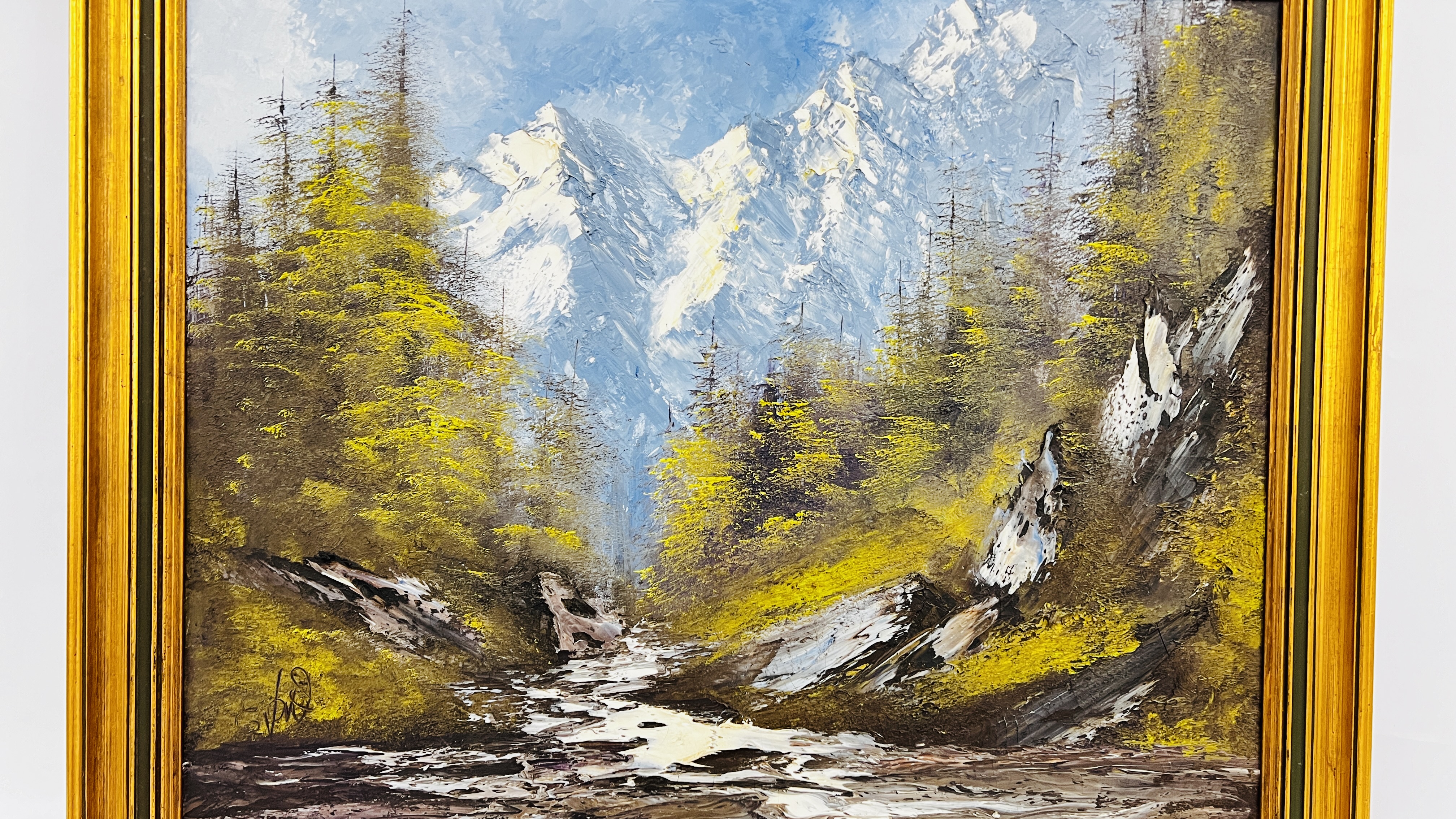 OIL ON CANVAS OF ALPINE RIVER MOUNTAIN SCENE BEARING SIGNATURE TERRY EVANS 70CM X 90CM. - Image 2 of 7