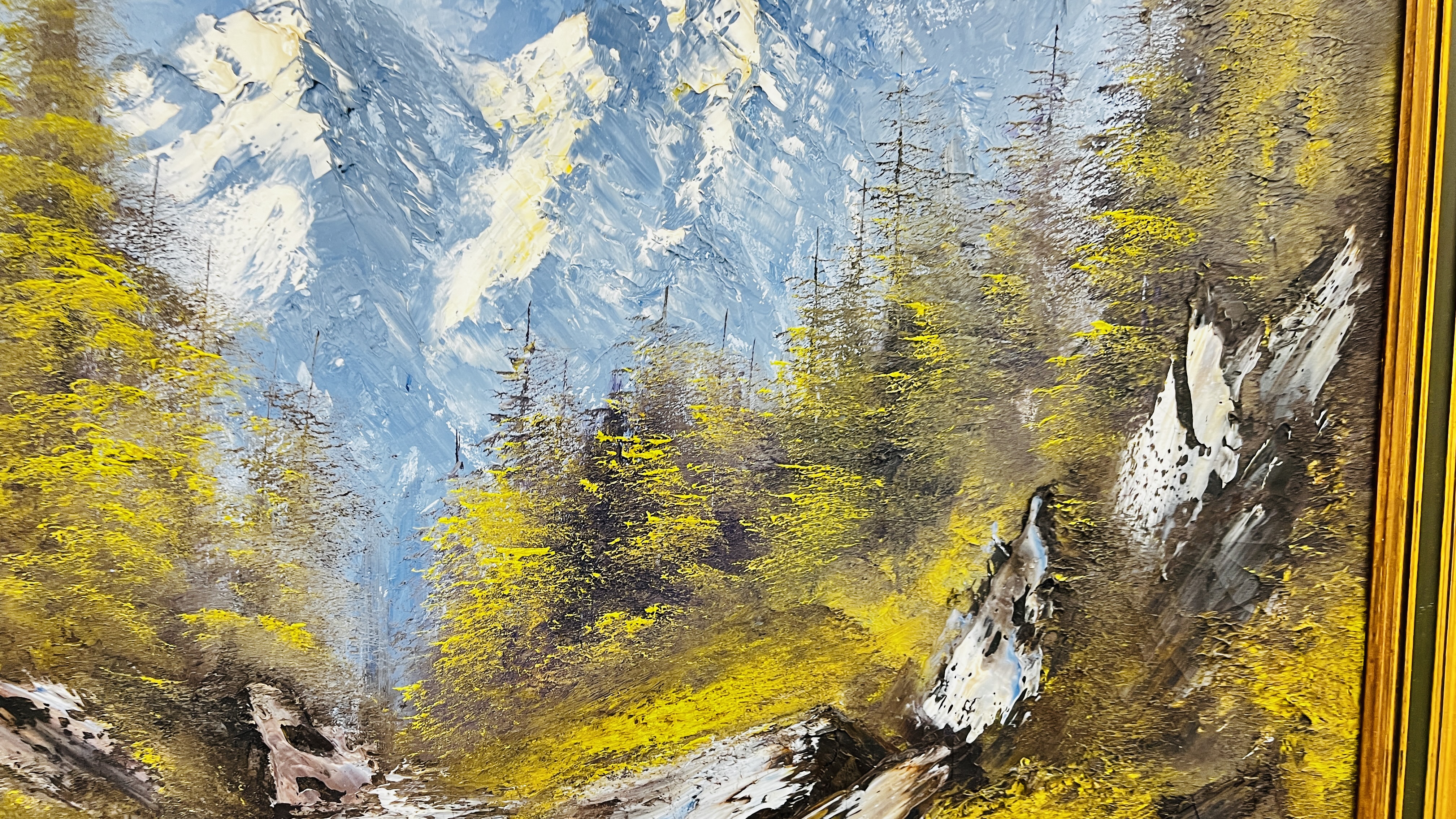 OIL ON CANVAS OF ALPINE RIVER MOUNTAIN SCENE BEARING SIGNATURE TERRY EVANS 70CM X 90CM. - Image 4 of 7