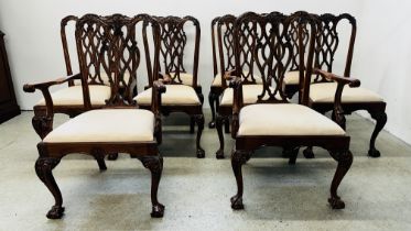 A SET OF TEN REPRODUCTION CHIPPENDALE STYLE DINING CHAIRS WITH CREAM VELOUR STUFF OVER SEATS (8