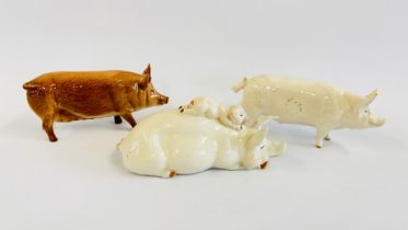 2 X BESWICK PIG STUDIES TO INCLUDE AN EXAMPLE MARKED CH WALL CH BOY 53 + A FURTHER ROYAL DOULTON