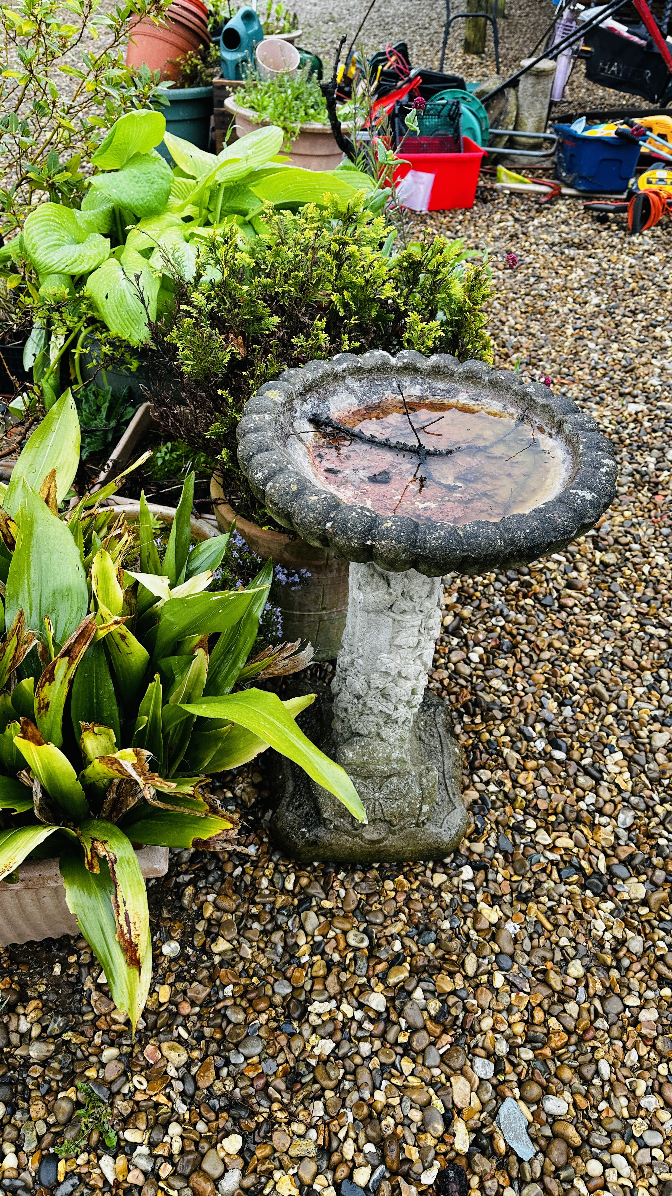 A GROUP OF ASSORTED GARDEN PLANTERS AND CONTENTS PLUS STONEWORK PEDESTAL BIRD BATH. - Image 8 of 11